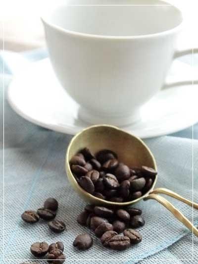 Serenity Harbor Mild Roast Coffee Haven